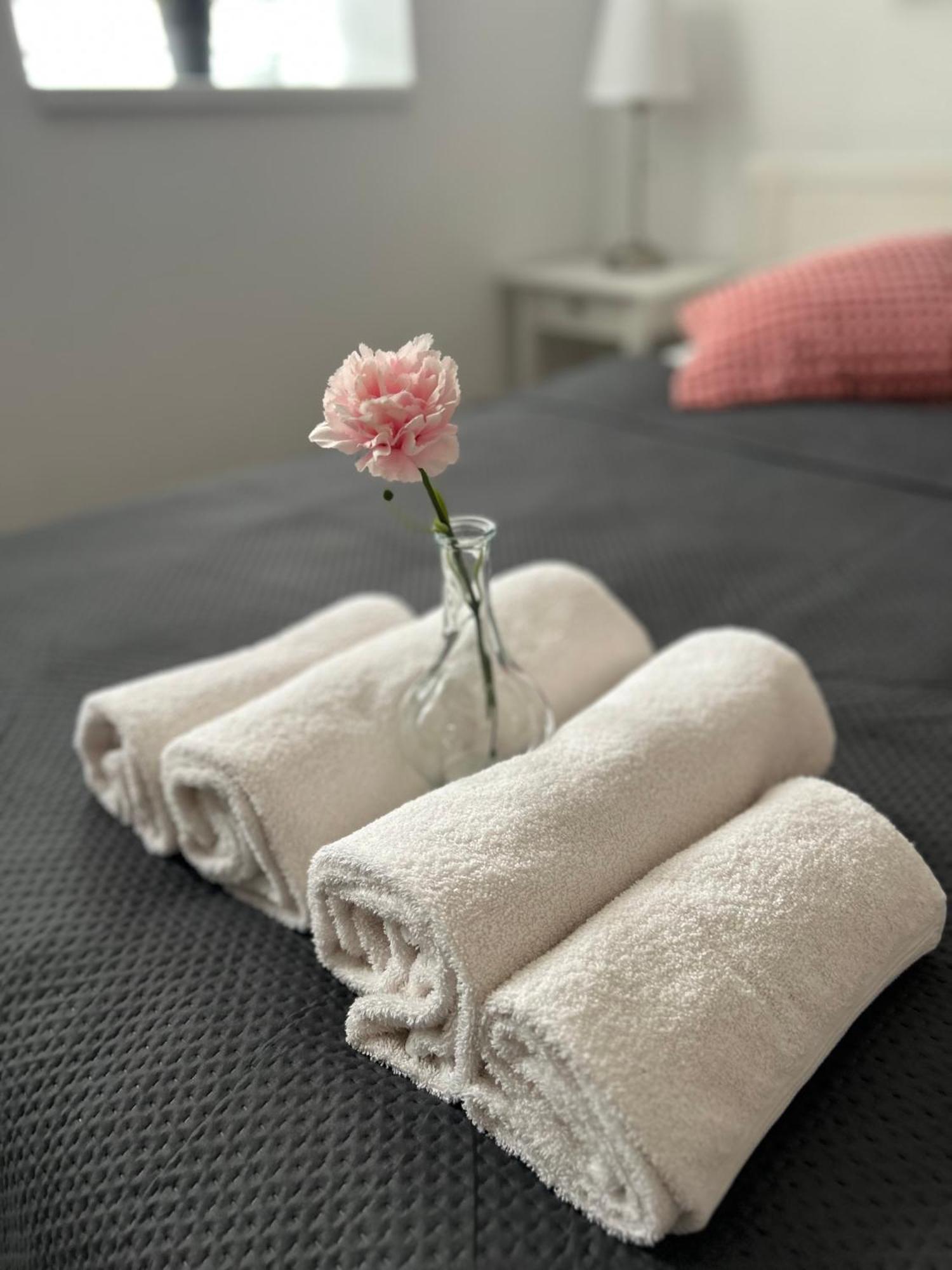 زنويمو Apartmany Ellie المظهر الخارجي الصورة